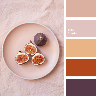color-palette-4300